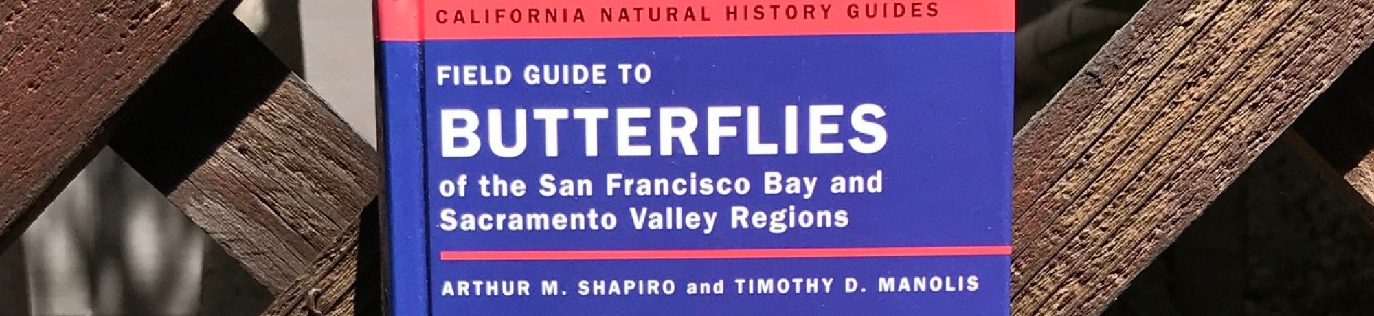Field Guide to Butterflies