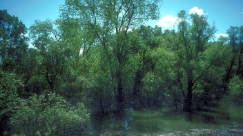 West Sacramento Photo Gallery