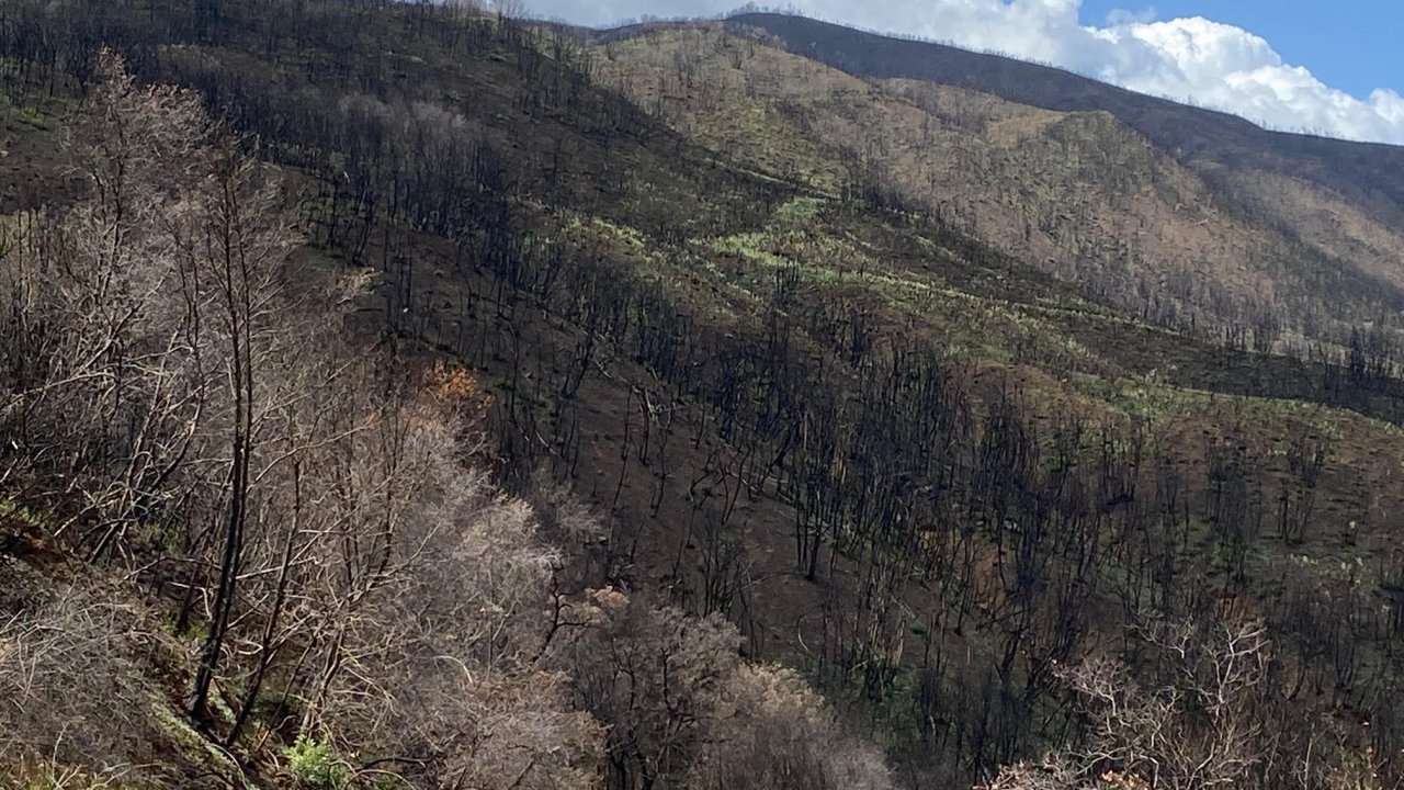 Gates Canyon after burn 13, April 2021